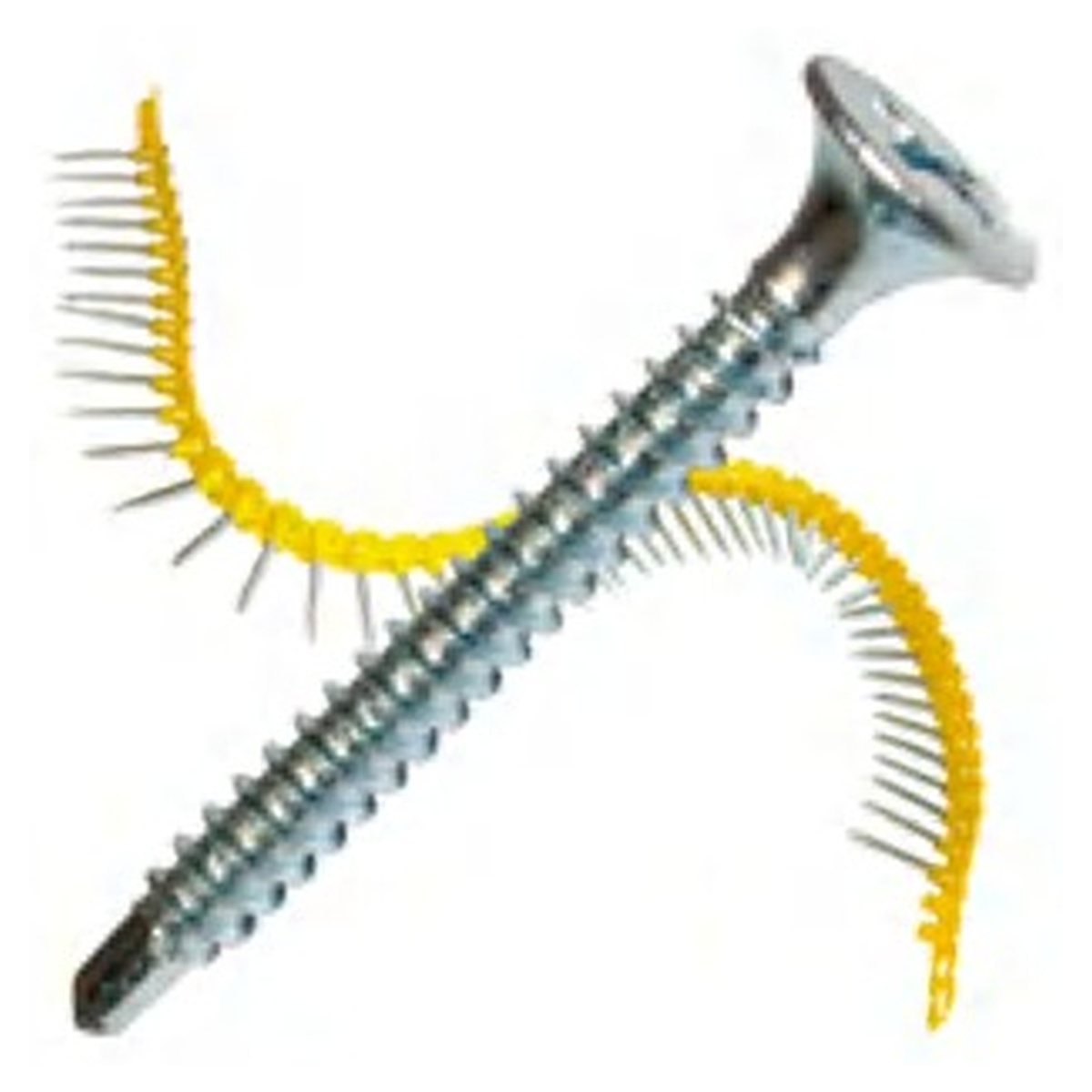 Collated Drywall Self-Drilling Screw
